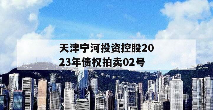 天津宁河投资控股2023年债权拍卖02号