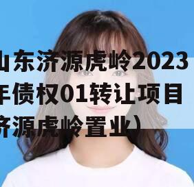 山东济源虎岭2023年债权01转让项目（济源虎岭置业）