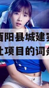 包含酉阳县城建实业债权转让项目的词条