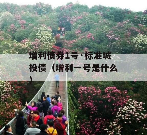 增利债券1号·标准城投债（增利一号是什么）