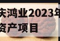 重庆鸿业2023年债权资产项目