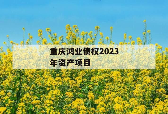 重庆鸿业债权2023年资产项目