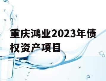 重庆鸿业2023年债权资产项目