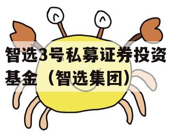 智选3号私募证券投资基金（智选集团）