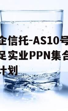 央企信托-AS10号大足实业PPN集合信托计划
