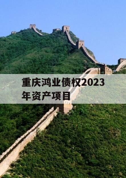 重庆鸿业债权2023年资产项目