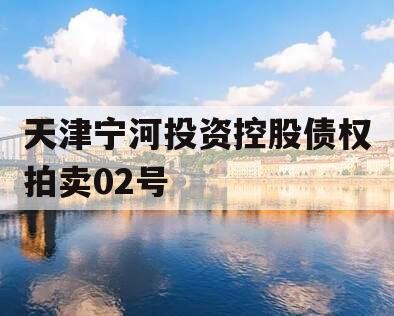 天津宁河投资控股债权拍卖02号