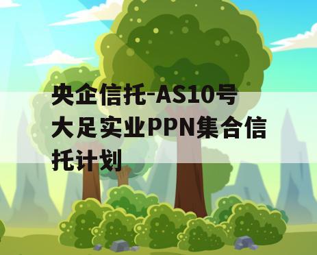 央企信托-AS10号大足实业PPN集合信托计划