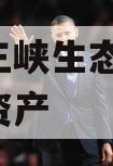 奉节三峡生态2023债权资产