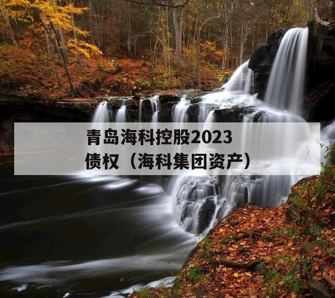 青岛海科控股2023债权（海科集团资产）