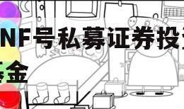 NNF号私募证券投资基金 NNF号私募证券投资基金