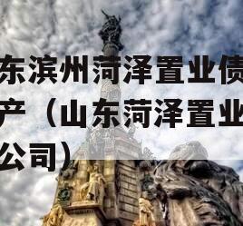 山东滨州菏泽置业债权资产（山东菏泽置业有限公司）