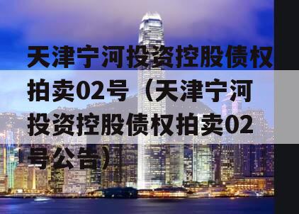 天津宁河投资控股债权拍卖02号（天津宁河投资控股债权拍卖02号公告）