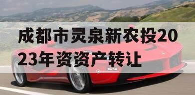 成都市灵泉新农投2023年资资产转让