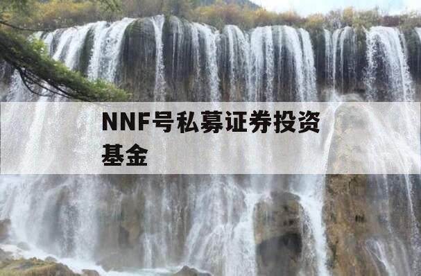 NNF号私募证券投资基金 NNF号私募证券投资基金