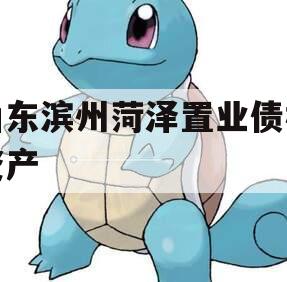 山东滨州菏泽置业债权资产