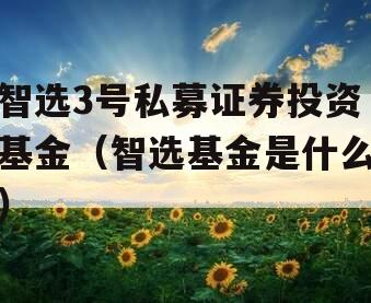 智选3号私募证券投资基金（智选基金是什么）
