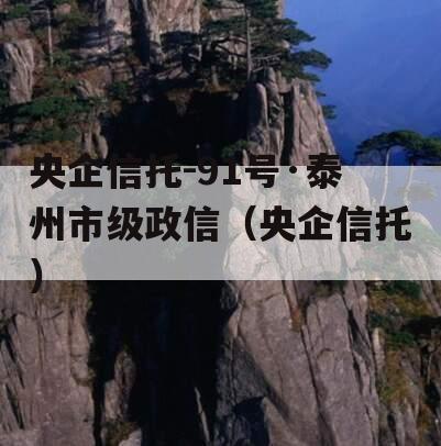 央企信托-91号·泰州市级政信（央企信托）