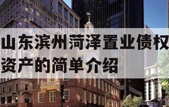 山东滨州菏泽置业债权资产的简单介绍