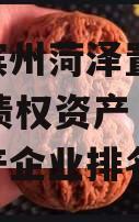 山东滨州菏泽置业2023年债权资产（菏泽房地产企业排名）