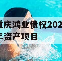 重庆鸿业债权2023年资产项目