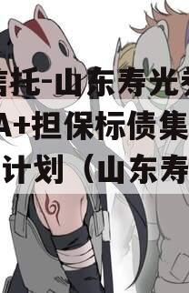 XX信托-山东寿光券内AA+担保标债集合信托计划（山东寿光债务）