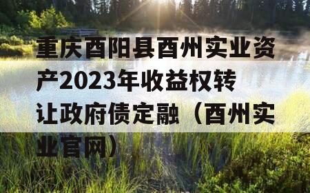 重庆酉阳县酉州实业资产2023年收益权转让政府债定融（酉州实业官网）