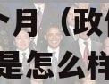 头部信托-省会西安政信-12个月（政信信托项目是怎么样运作的）
