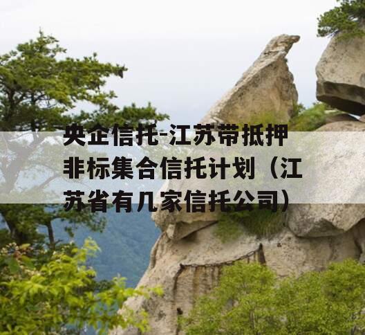 央企信托-江苏带抵押非标集合信托计划（江苏省有几家信托公司）