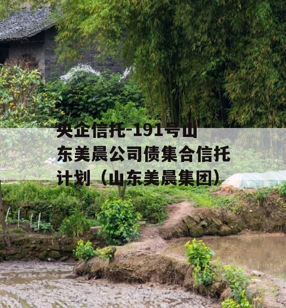 央企信托-191号山东美晨公司债集合信托计划（山东美晨集团）