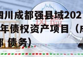 四川成都强县域2023年债权资产项目（成都 债务）