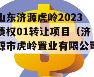 山东济源虎岭2023债权01转让项目（济源市虎岭置业有限公司）