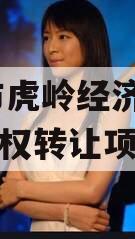 济源市虎岭经济发展2023债权转让项目