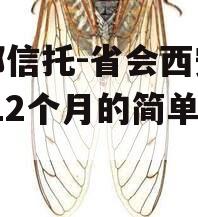 头部信托-省会西安政信-12个月的简单介绍