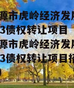济源市虎岭经济发展2023债权转让项目（济源市虎岭经济发展2023债权转让项目招标）