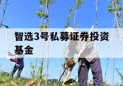 智选3号私募证券投资基金