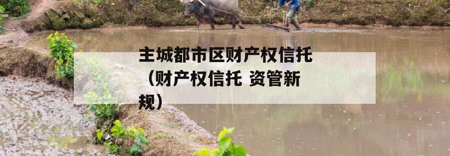 主城都市区财产权信托（财产权信托 资管新规）