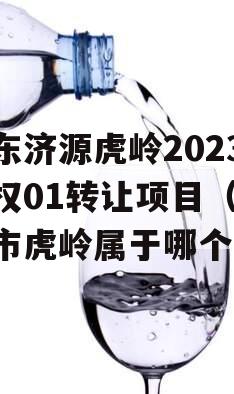 山东济源虎岭2023债权01转让项目（济源市虎岭属于哪个镇）