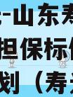 XX信托-山东寿光券内AA+担保标债集合信托计划（寿光投资）
