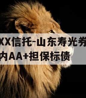 XX信托-山东寿光券内AA+担保标债