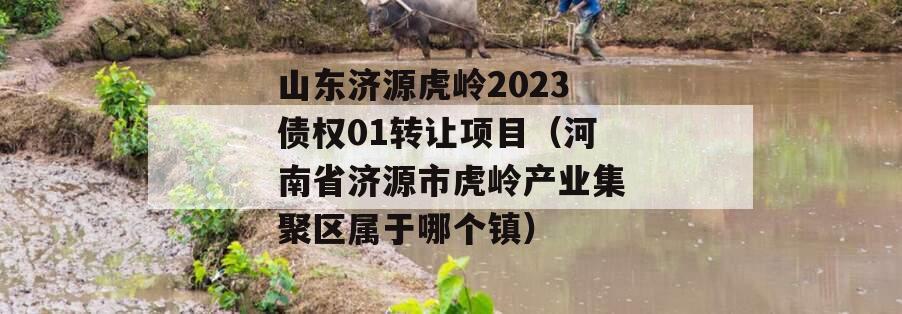 山东济源虎岭2023债权01转让项目（河南省济源市虎岭产业集聚区属于哪个镇）