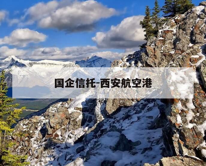 国企信托-西安航空港 国企信托-西安航空港