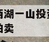 简阳两湖一山投资债权资产拍卖