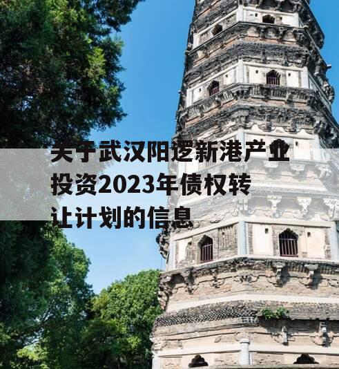 关于武汉阳逻新港产业投资2023年债权转让计划的信息