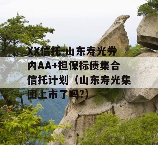 XX信托-山东寿光券内AA+担保标债集合信托计划（山东寿光集团上市了吗?）