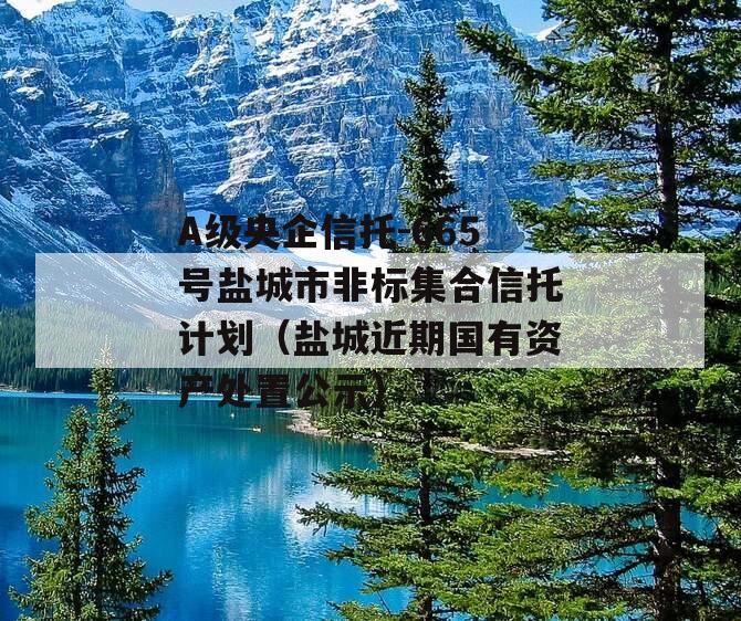 A级央企信托-665号盐城市非标集合信托计划（盐城近期国有资产处置公示）
