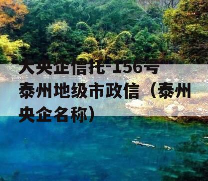 大央企信托-156号泰州地级市政信（泰州央企名称）