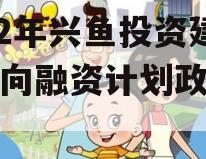 2022年兴鱼投资建设定向融资计划政府债定融