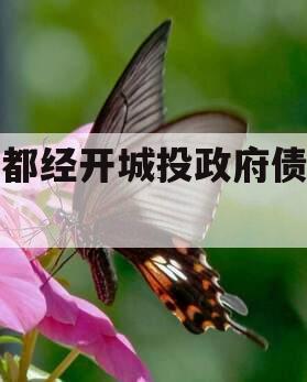成都经开城投政府债定融