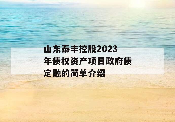 山东泰丰控股2023年债权资产项目政府债定融的简单介绍